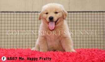 Ms. Happy Pretty