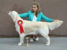 Ch.Rus KZ RKF Club Lunnaya Melodiya Mirabelle CACIB