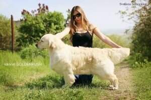 Russia Ch Russia Tramin Olivia Star Sky