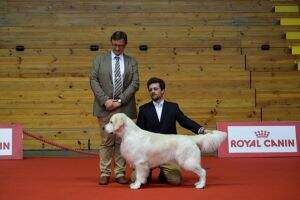 HAPPY HOUR DE SANTO QUINTINO