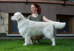 IntSch Pearl of Hunters Chewbacca