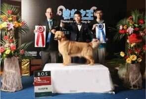 king's moer kennel Lolita
