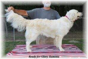 Ready for Glory Ramona
