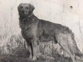 Tohv-Kelev Solomon Penbrooke