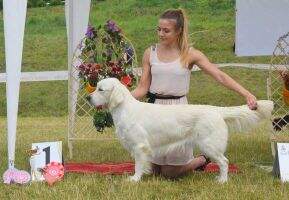LT, LV, EST CH Berenike Bravo Nugget