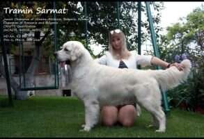 C.I.B. Tramin Sarmat