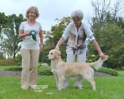 Setherwood Mildred