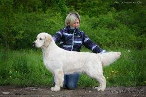 RUS Right Hunter Midnight Race