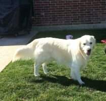 Tucker Of Chase The Storm