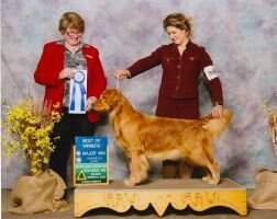 Golden Rules Shake Me Wake Me RN AXP AJP