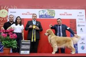 PanCh PanGrCh AMERICAS Y EL CARIBE 2018 Golden Sunset's Lord Flora PanCh PanGrCh AMERICAS Y EL CARIBE 2018 Golden Sunset's Lord Flora