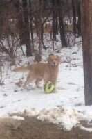 Eisenhower Riley Eisenhower Riley