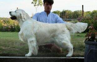 Slo Ch Xanthos Bullet Proof JW, SGWC