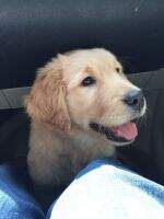Cooper Berryman Cooper Berryman