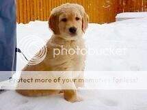 Zaniri's Yukon River Hunter