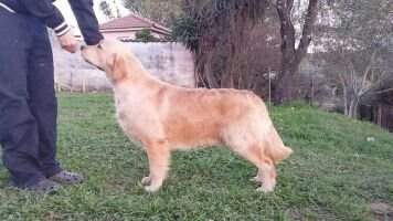 Thunder Sky de Ria Vela Thunder Sky de Ria Vela