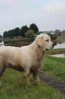 Hearunes Lovely Maeva