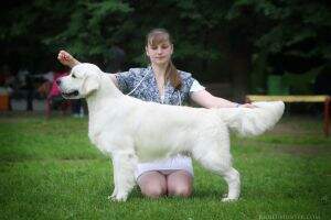 RUS GR Club CH RUS GR Club Right Hunter Shining Star