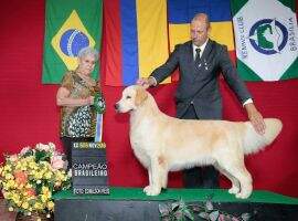 plc Gr CH Pan. Goldentrip Prime The Midnight Hour 01