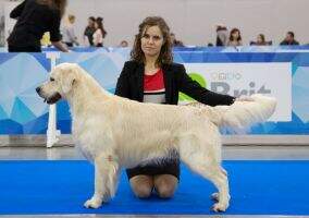 Rus GR Club CH RKF CH RUS/BLR/LT Rus GR Club Right Hunter Sheriff