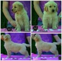 Winneconne by Wn De Azpeitia