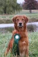 Copperidge Meant 2 B OM1 Copperidge Meant 2 B OM1