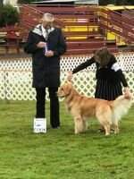 GRATA's Home Field Advantage CCA