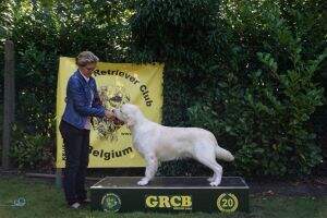 Golden Tunes Courage Golden Tunes Courage