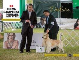 PerCh PerJrCh Chanel Del Valle de Atriz PerCh PerJrCh Chanel Del Valle de Atriz