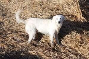 Luna May Rogness