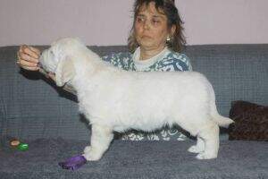 Hilda z Liblick?ch r?kosin