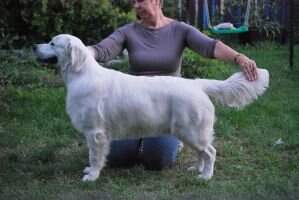 Christopher z Liblick?ch r?kosin Christopher z Liblick?ch r?kosin