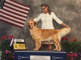 Colebrook OPKs Delta Ray CGCA CGCU TKA