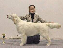 Slav Trophy Charming Lady Di