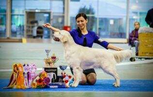 Russian Junior Champion, Junior Club Champion Riera Genrietta