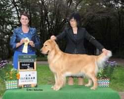 JKC.CH GUNMA FUKUSHIMA'S MON SU SU FCI