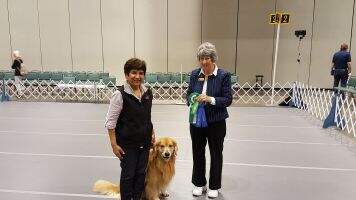 Sanmann's 2nd Chance Charlie CGCA CGCU TKA