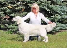 CH.UKRAINE,MOLDOVA,BELORUSE ,POLAND,HUNGARY Bohemium Of Zaporozhye Belle Fantazy Fly INTERCHAMPION