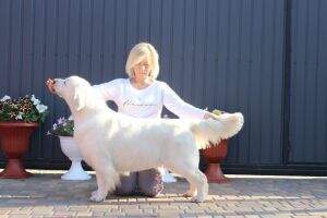 JGrChUA ChU Ch Breed`15 Navilis Game of Million