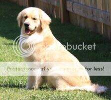 Westben Judy The Beauty