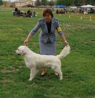 Jrgoldens New Herizons Maddox Jrgoldens New Herizons Maddox