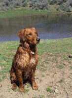 Skyriver's 10-4 Big Buddy Skyriver's 10-4 Big Buddy
