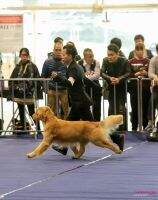 PRC CH CN CN Xiao Luo