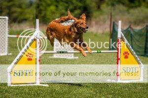 Rippling Run Final Edition MJC MXF MFB TQX T2B2 ACT1