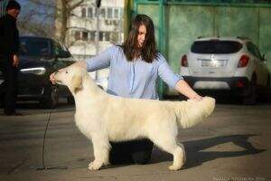 RUS BLR RUS Kanrit Daly Koritsa