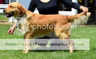 Abbi Golden Elianne