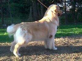 Marley de Arerungua