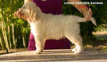 Lords-V?rlden Ragnar