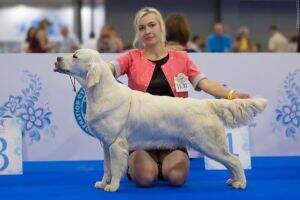 ChBel Club CH CH Rus. RKF Rus. Club FT-Duck Puello Oris Khaleesi Daynerisse