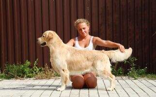 Rus Vet CH RKF Vet CH Rus KIBELLINE AUGUSTINE GIVE UP TO THE STAR